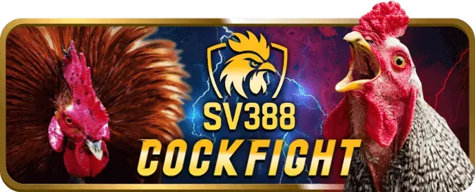 Câu chuyện thành công từ người chơi VB66 App